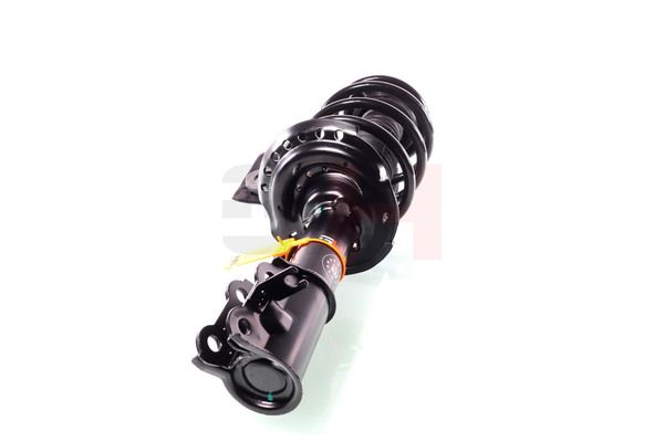 Vedruamort, GH GH-353422C01