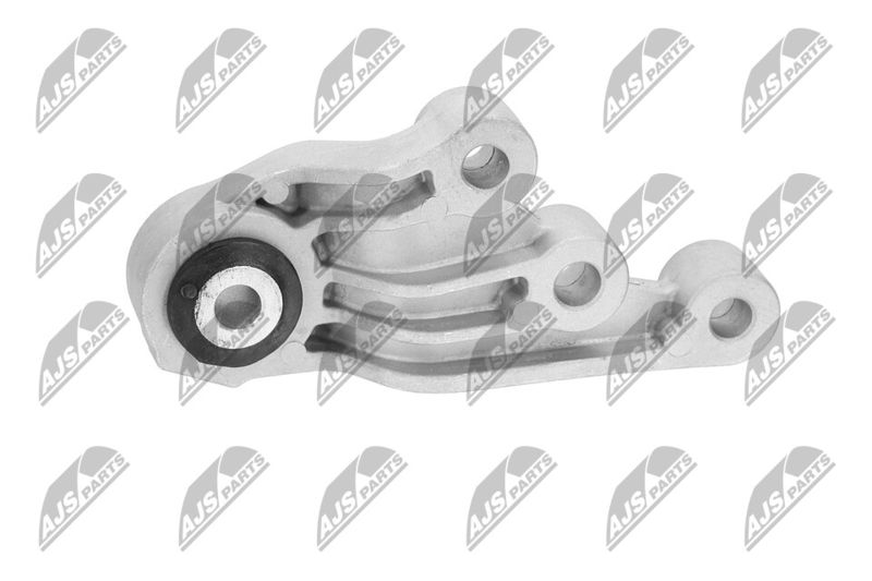 Paigutus, Mootor, NTY ZPS-CH-123