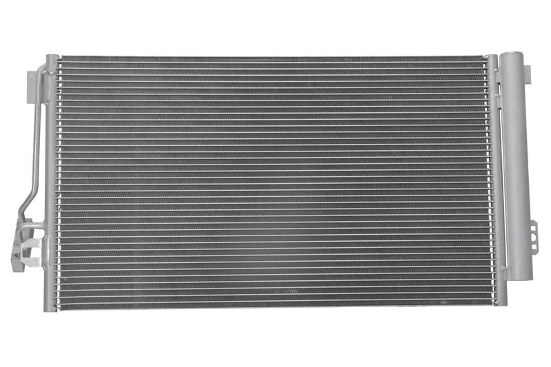 366222971_BACK_TD_1.JPG
