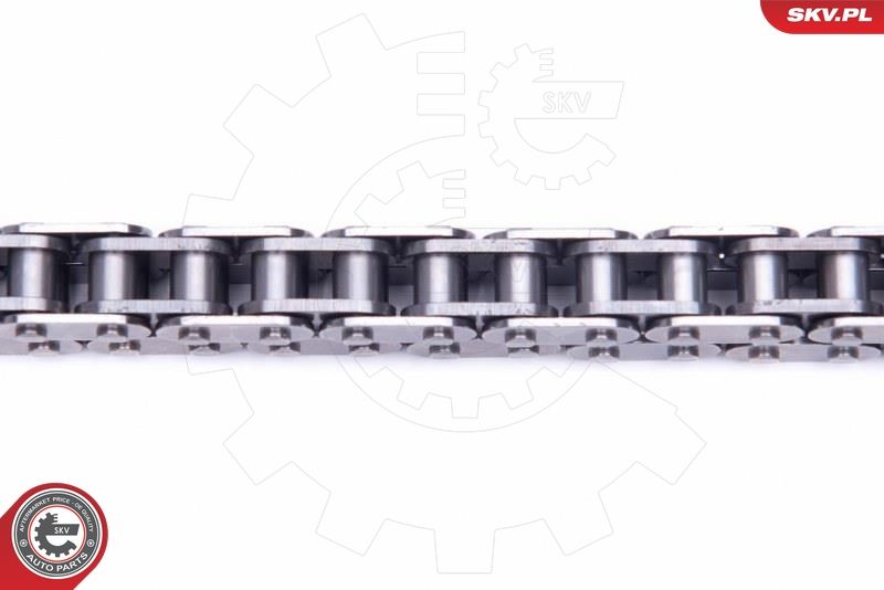 ESEN SKV 21SKV168 Timing Chain Kit