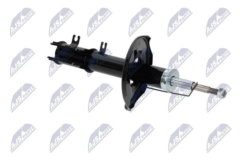Amort, NTY A-CH-053