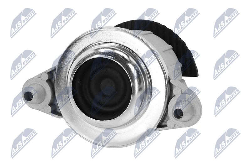 Paigutus, Mootor, NTY ZPS-ME-015