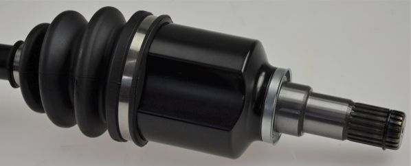 GKND12558C.JPG