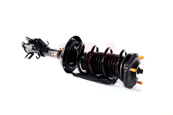 Vedruamort, GH GH-352388C01