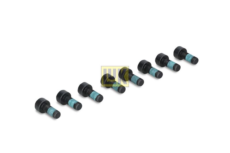 Kruvikomplekt, hooratas, Schaeffler LuK 411 0159 10
