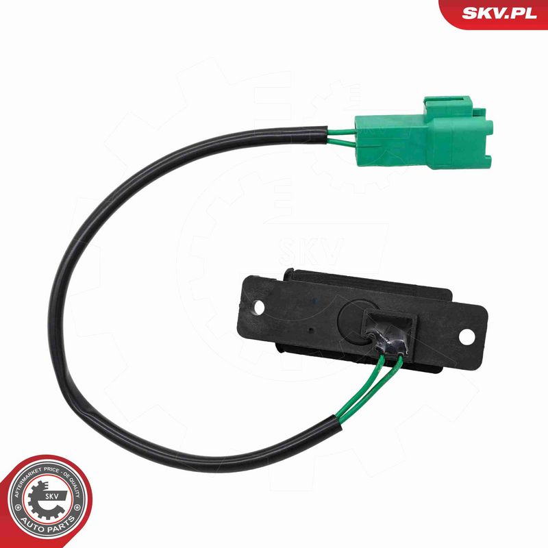 ESEN SKV 60SKV646 Tailgate Handle