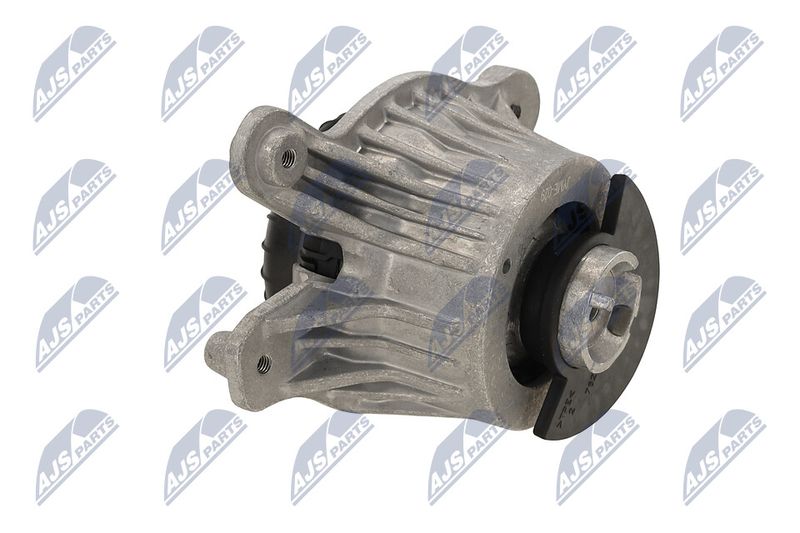 Paigutus, Mootor, NTY ZPS-ME-029