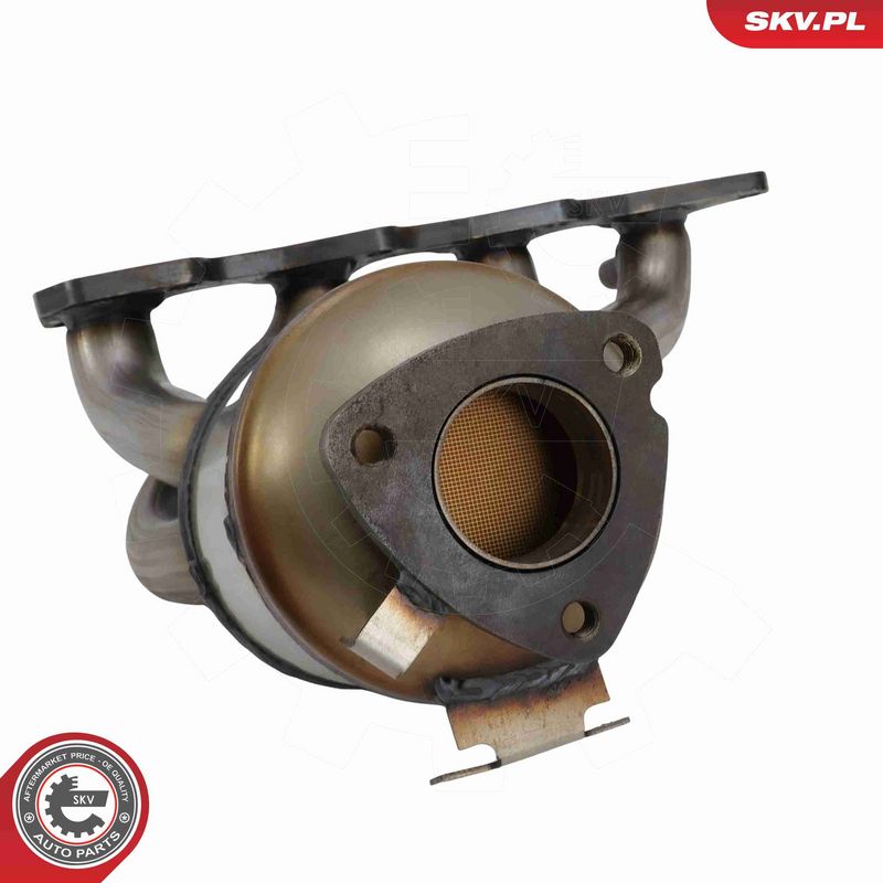 ESEN SKV 62SKV172 Catalytic Converter