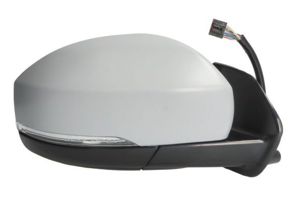 BLIC 5402-57-0697315P Exterior Mirror