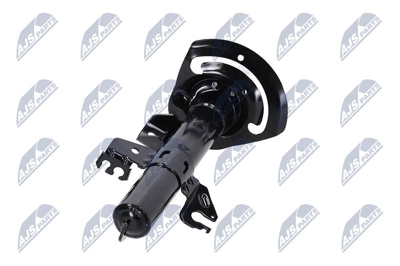 Amort, NTY A-CH-083