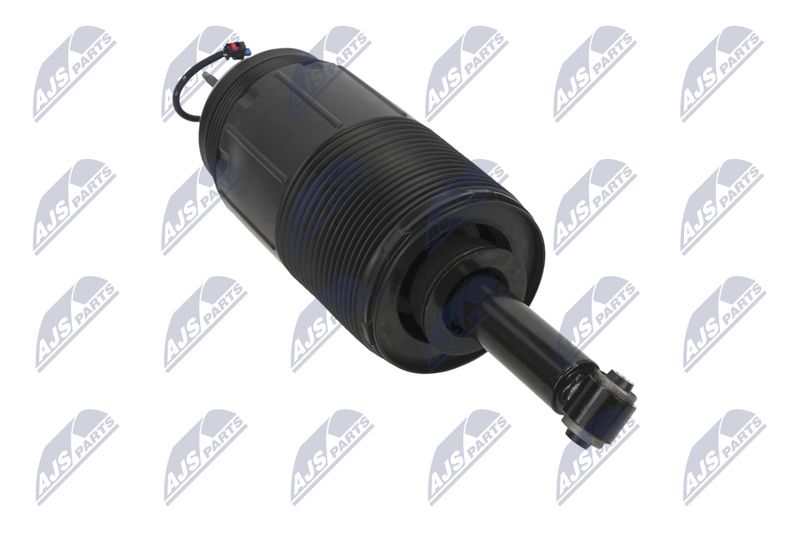 Amort, NTY A-CH-099