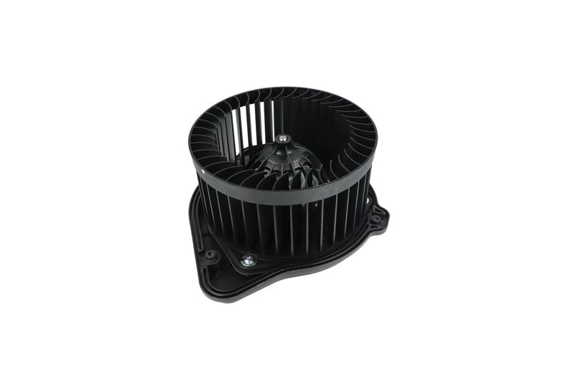 Salongipuhur, NRF 34136