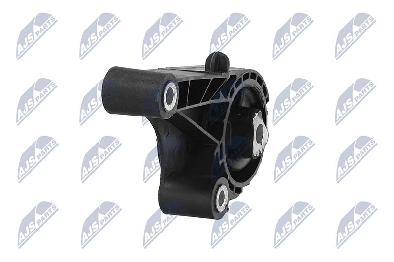 Paigutus, Mootor, NTY ZPS-PL-057