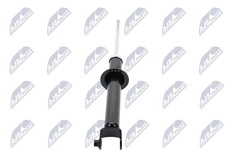 Amort, NTY A-CH-055