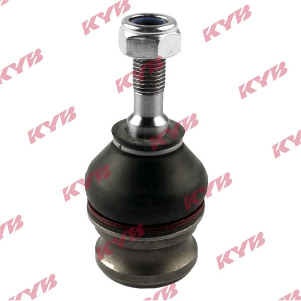 KYB-KBJ4460.JPG