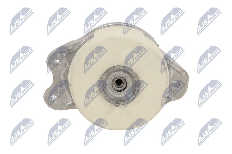 Paigutus, Mootor, NTY ZPS-ME-079