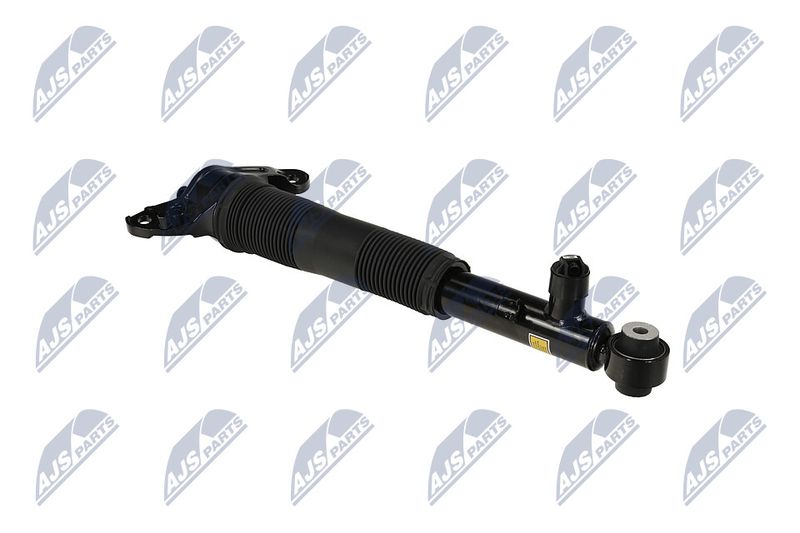 Amort, NTY A-LR-037