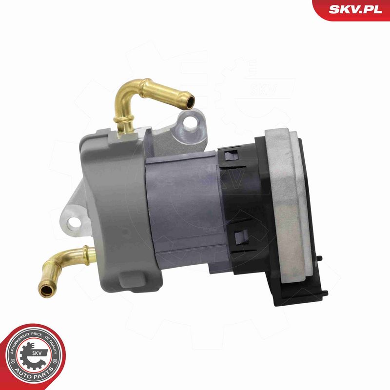 ESEN SKV 14SKV303 EGR Valve