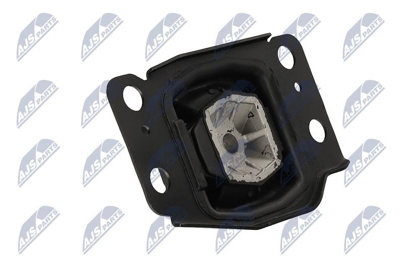 Paigutus, Mootor, NTY ZPS-FR-036