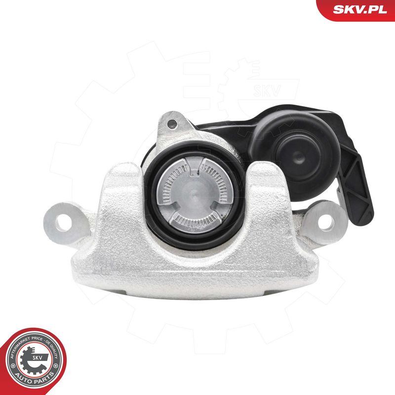 Pidurisadul, ESEN SKV 79SKV593