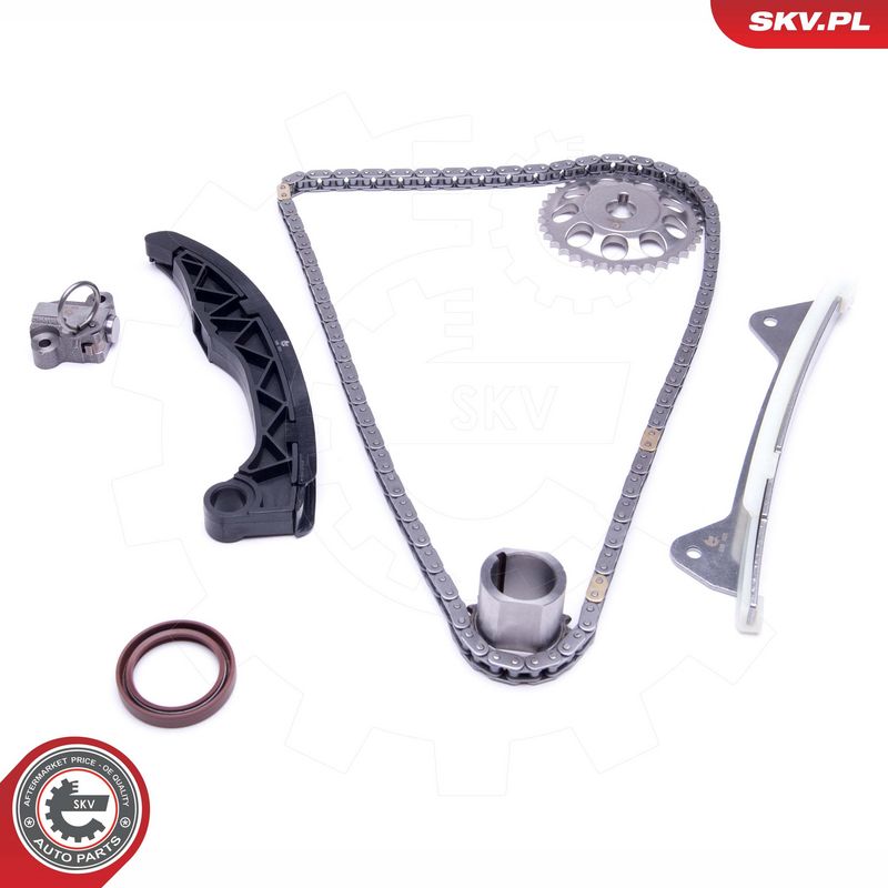 Mootori keti komplekt, ESEN SKV 21SKV228