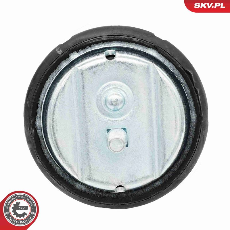 Paigutus, Mootor, ESEN SKV...