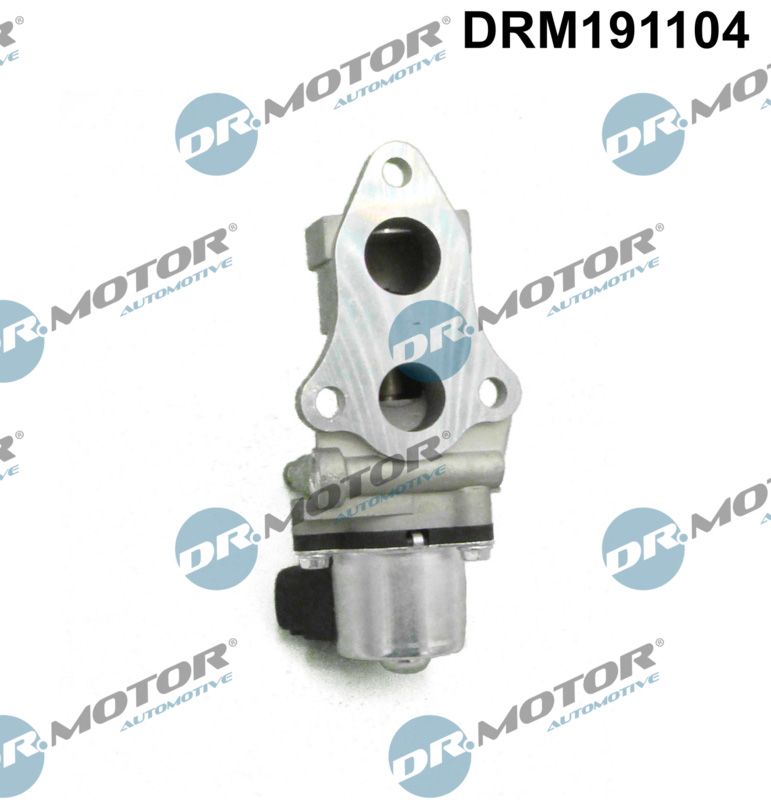 Dr.Motor Automotive AGR-szelep DRM191104