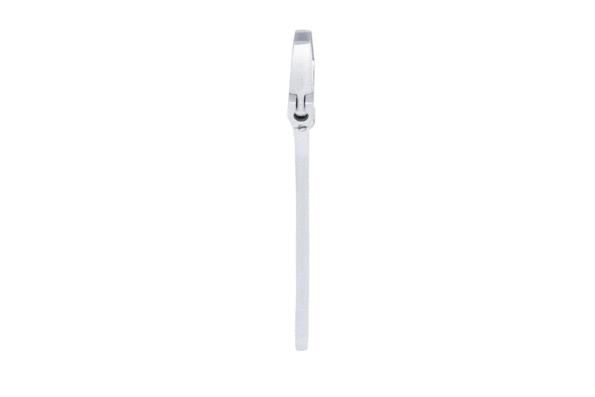 KS TOOLS 577.0100-E Adjustable Spanner