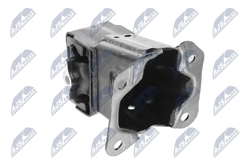 Paigutus, Mootor, NTY ZPS-CH-033