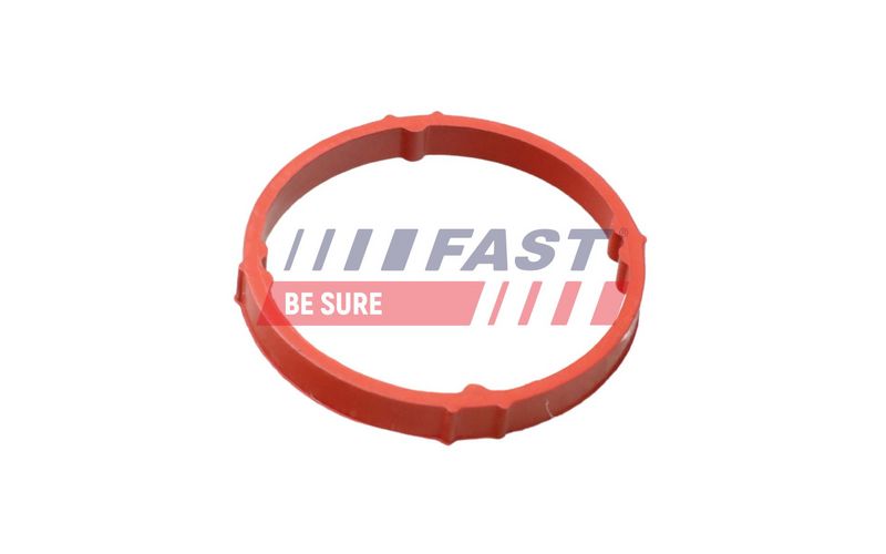 FAST FT48958 Seal Ring