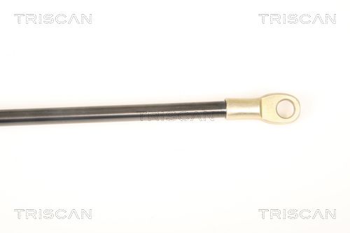 TRIS87109003_3.JPG