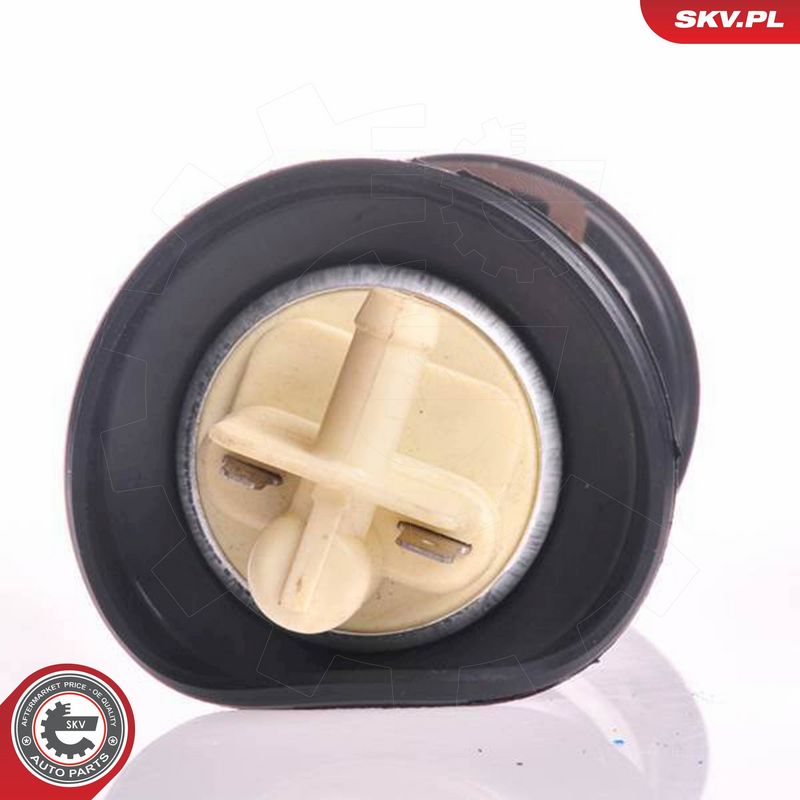 ESEN SKV 02SKV226 Fuel Pump