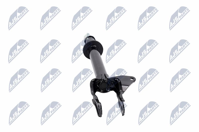 Amort, NTY A-CH-082