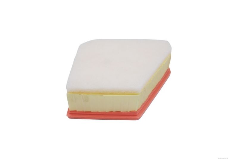 AUTOMEGA 250051010 Air Filter