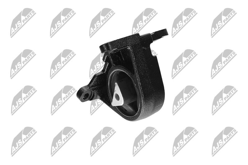 Paigutus, Mootor, NTY ZPS-CH-087