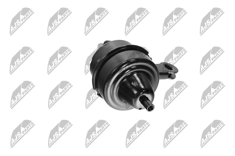 Paigutus, Mootor, NTY ZPS-BM-035