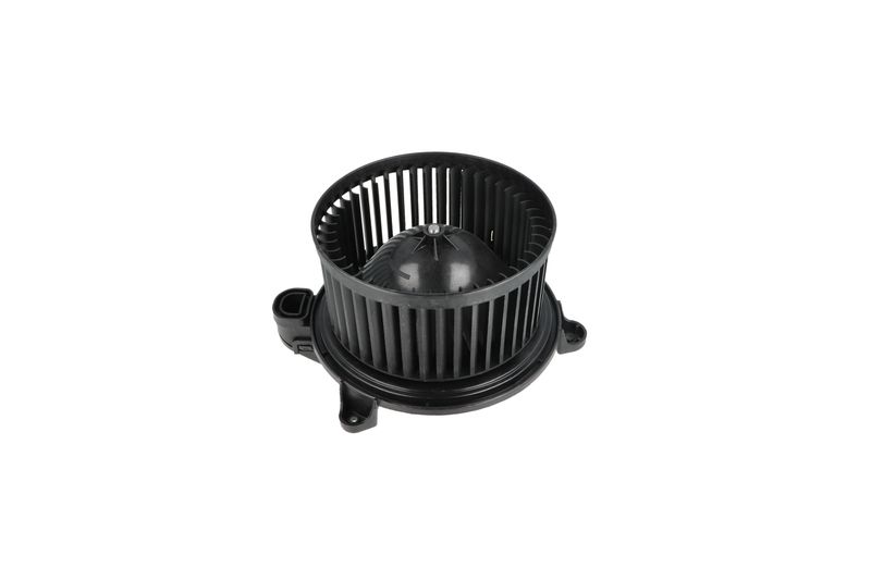 Salongipuhur, NRF 34365