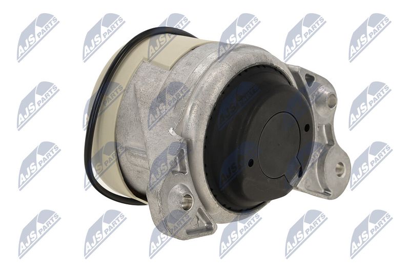 Paigutus, Mootor, NTY ZPS-ME-021