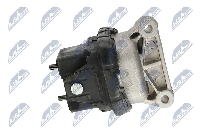 Paigutus, Mootor, NTY ZPS-CH-019