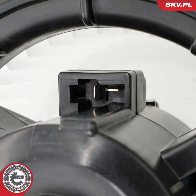 Salongipuhur, ESEN SKV...