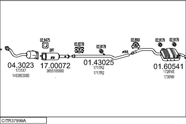 CITR37998A.JPG