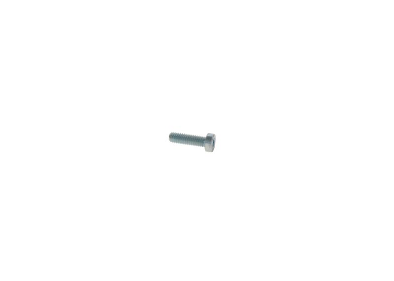 BOSCH 2912731201 Screw