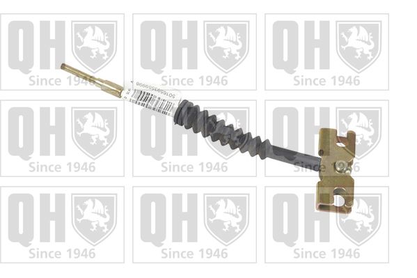 QH_BC2644.JPG