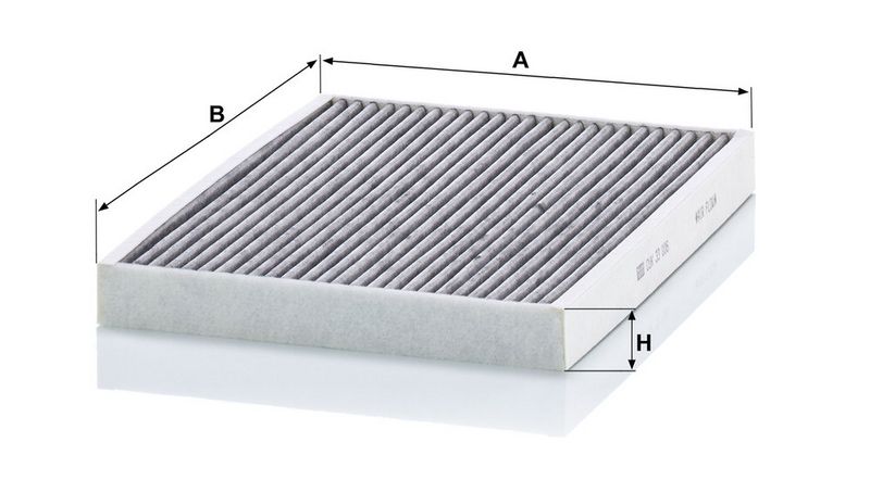 Cabinefilter met actieve kool past: BMW IX (I20) Electric 07.21-