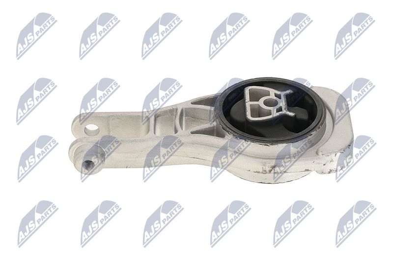 Paigutus, Mootor, NTY ZPS-PL-079