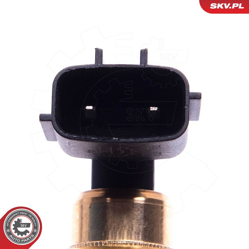 Andur, Mootoriõlitase, ESEN SKV 17SKV751