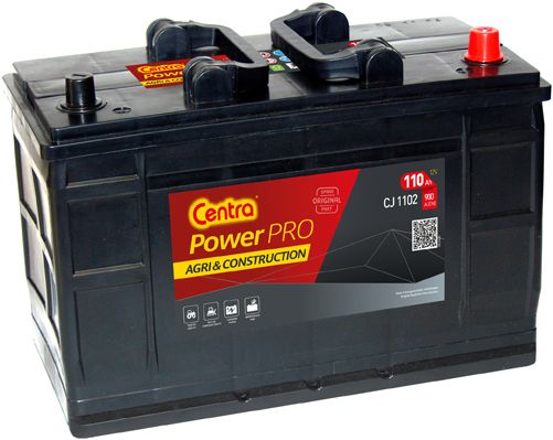 CJ1102 COPIE.JPG