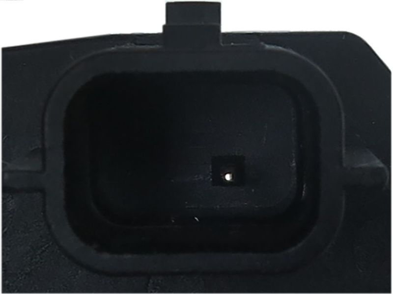 299063.JPG