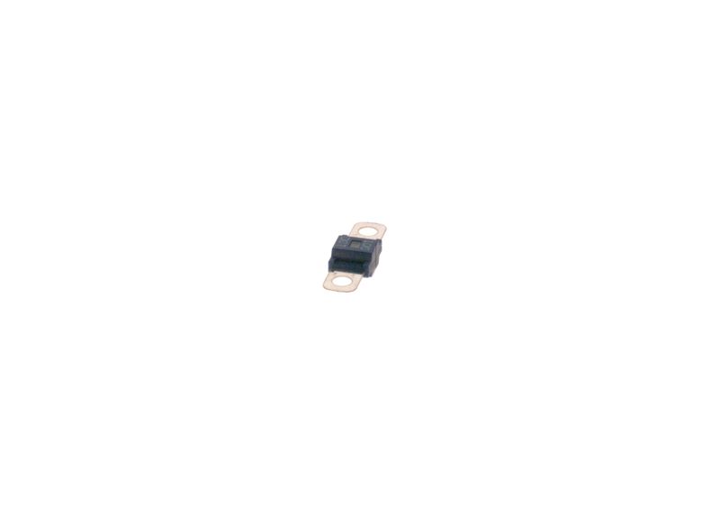 BOSCH 1987531011 Fuse