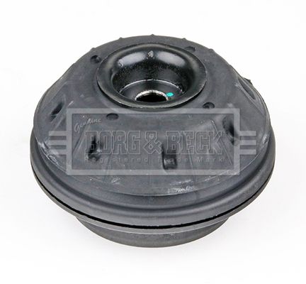 BSM5564_5177305.JPG